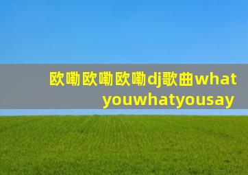 欧嘞欧嘞欧嘞dj歌曲what youwhatyousay